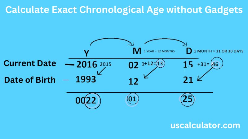 Chronological Age Calculator