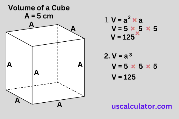 Volume of a Cube 4